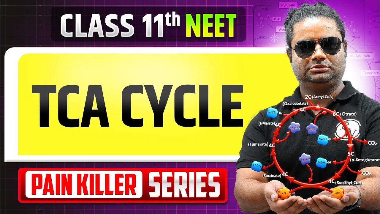 TCA Cycle - From Basic to Advanced || NEET 2026