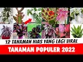 Download Lagu 12 Bunga Hias yang Lagi Viral di Kalangan Pecinta Tanaman Hias Terbaru 2022