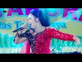 Download Lagu KISINAN II NIKEN SALINDRI 🇮🇩 ZONADA 🇮🇩 NUGROHO AUDIO 🔊 GUMILANG 🎥 SNJ 🚦