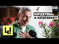 Download Lagu Lázár János: A Fidesz veszített az EP-választáson elért eredményéből