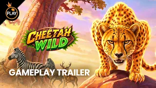 Cheetah Wild | Gameplay Trailer | Pragmatic Play