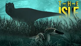 Não Estávamos Sozinhos, Austroraptors Nunca Têm Paz! | The Isle