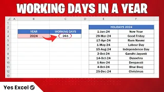 Get Total Working Days in a Year in Excel