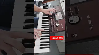 موسيقى Music زينة الحلوة زينة 