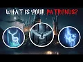 Discover Your Patronus Take the Ultimate Harry Potter Quiz