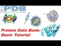 How To Use RCSB Protein Data Bank PDB Basic Tutorial Bioinformatics Lecture Episode-II