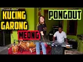 Download Lagu KUCING GARONG || PONGDUT BAJIDOR || CINEUR GDOR || EDISI LATIHAN