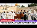 BREAKNG Israel Just Announced the Date Red Heifers Ready for Third Temple Sacrifice