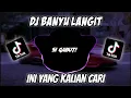 DJ BANYU LANGIT VIRAL TIKTOK TERBARU 2022 || Janjine Lungo Ra Nganti Semene Suwene
