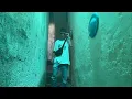 Download Lagu ASTER - SLZY V ELIXÍRU feat. NIKA ( OFFICIAL VIDEOKLIP )