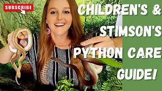 Children s and Stimson s python Care Guide Heating humidity substrate feeding and much more
