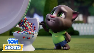 Nasty Little Bugs 🐜😳 Talking Tom Shorts | Cartoons for Kids