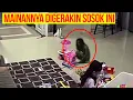 Lagu SEREM..!! ANAK KECIL INI GASADAR DIAJAK MAIN HANTU