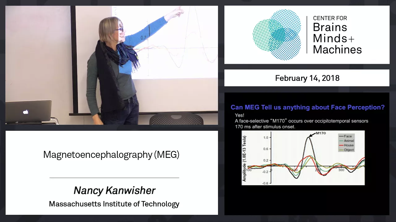 2.10 - Magnetoencephalography (MEG)