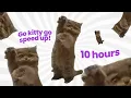 Download Lagu Go Kitty Go Speed Up 10 Hours