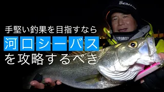 年中手堅く釣れるという“河口のシーバス攻略”をオヌマンに聞いてきた