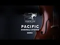 Pacific Ensemble Strings Demo