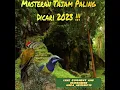 Download Lagu Masteran Paling Dicari ! Putar Pelan untuk Burung Anda ! Cucak Cungkok Vs Pelatuk Bawang #masteran