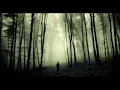 Slowdive - Here She Comes Lyrics