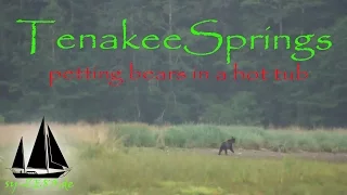 16-23_Tenakee Springs – petting bears in a hot tub (sailing ZERO)