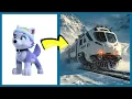Lagu All Aboard the Train Pups! 🎵🚆 PAW Patrol Songs