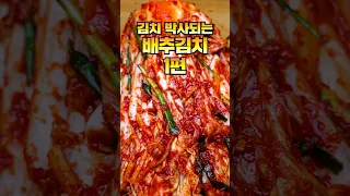 역대급 배추김치