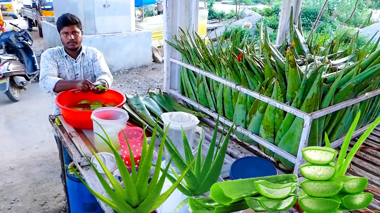 Aloe Vera Juice   Unique & Healthy Summer Drink   Indian Street Food