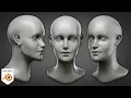 Part 3 How to Sculpt a Female Head for Beginners Blender Tutorial