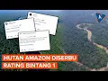 Download Lagu Hutan Amazon Diserbu Rating Bintang 1 di Google Maps oleh Netizen Indonesia