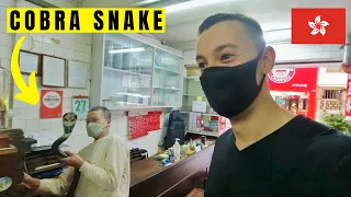 我在香港午餐吃了蛇肉