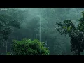 No Worries: Soft Rain Sounds with Relaxing Music for Sleep & Meditation
