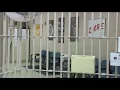 Toledo Municipal Court conducts justice study