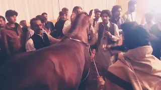 ya ali manga gazi ghora dancer dhol pr progaram