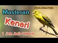 Lagu Masteran Kenari 1 Jam Jeda 1 Menit