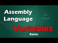 How to use Variables in Assembly Language - TR Panel