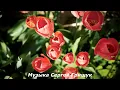 Download Lagu 🔊Музыка Для Души🔊 ,,ЖИЗНЬ ИДЁТ,,🔊Музыка Сергей Грищук🔊