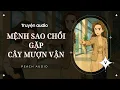 Download Lagu MỆNH SAO CHỔI GẶP CÂY MƯỢN VẬN (full)