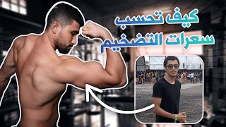 كيف احسب سعرات التضخيم و الماكروز افضل طريقة 