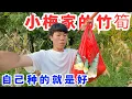 Download Lagu 小梅叫去拿她家的竹筍，在一個雜草叢生路都沒有的地方，不過自己種的就是好