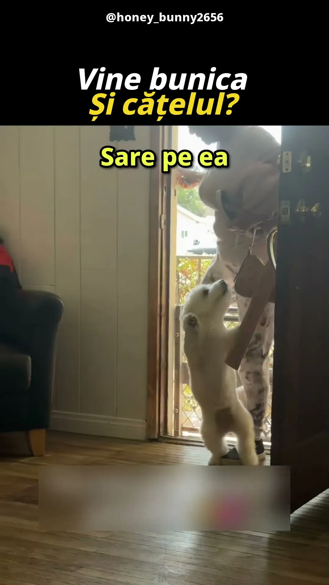 Bunica și nepotul ei preferat, un cățel răsfățat
