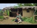 Download Lagu Abandoned house collapsed - single mother's dream shattered