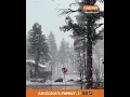 Spring storm brings snow to Flagstaff