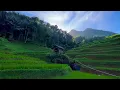 Download Lagu KECAPI SULING SUNDA MERDU \u0026 PEMANDANGAN ALAM INDAH | Suasana Pedesaan Jawa Barat, Garut, Banjarwangi