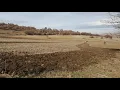 Aşık Veysel - Kara Toprak (Ozan Korkmaz)
