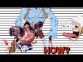 The MANY Different Sizes of Luffy
