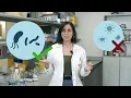 Antibiotics - The Antibiogram