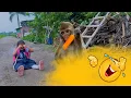 Download Lagu माकडाने तनुची गुल्फी खाऊन घेतली 🫣#भांडण 