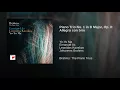 Piano Trio No. 1 in B Major, Op. 8: Allegro con brio