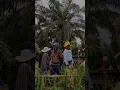 Download Lagu Tarian pawai budaya #dharmasraya #shortvideo #hutri78 #pacujalur