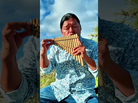 SI no te hubieras ido #panflute #quenacho #quena #zampoña #nativeflutes